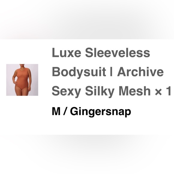 NWOT Parade mesh bodysuit size M gingersnap - Picture 2 of 8
